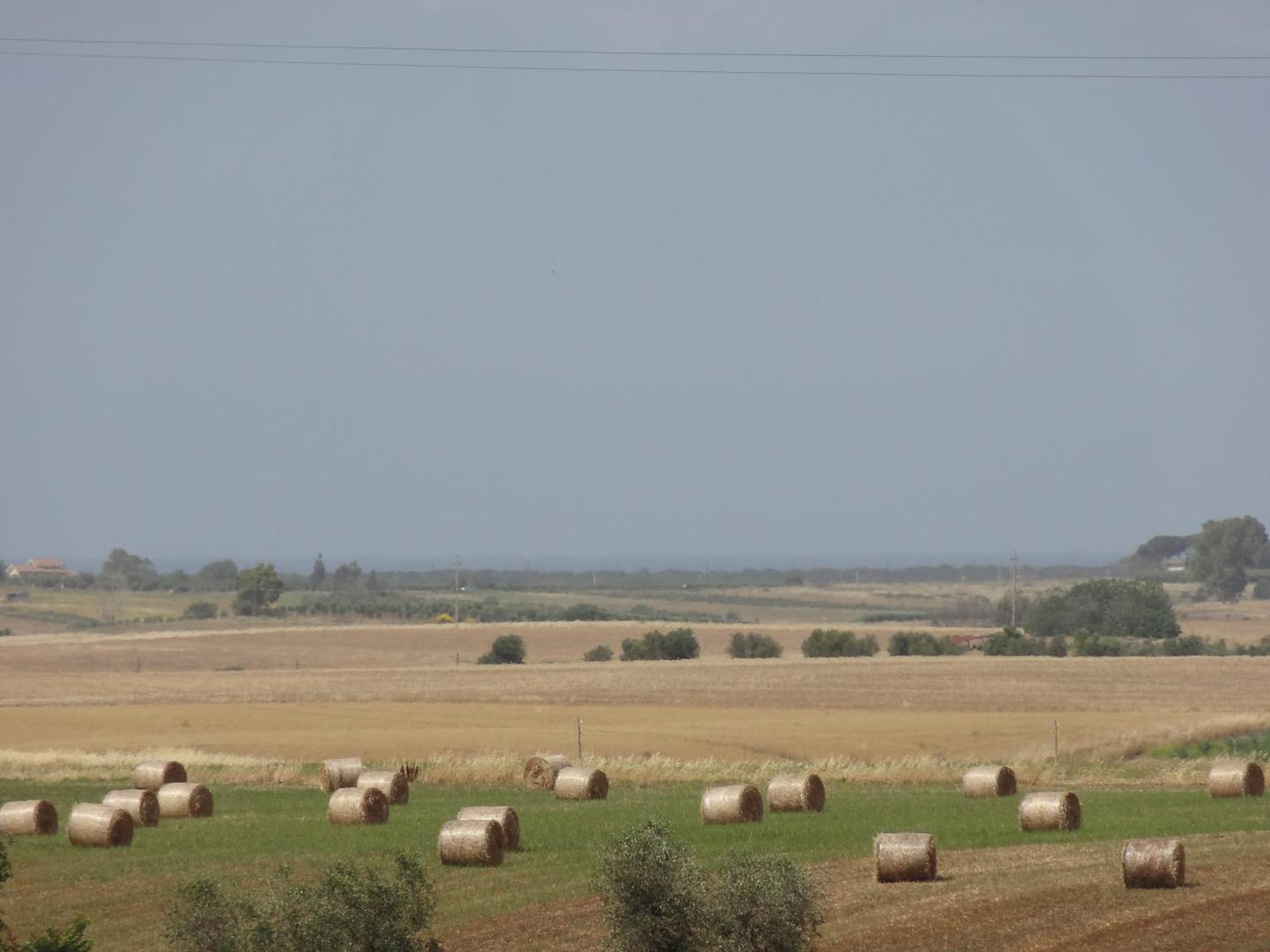 La Torricella