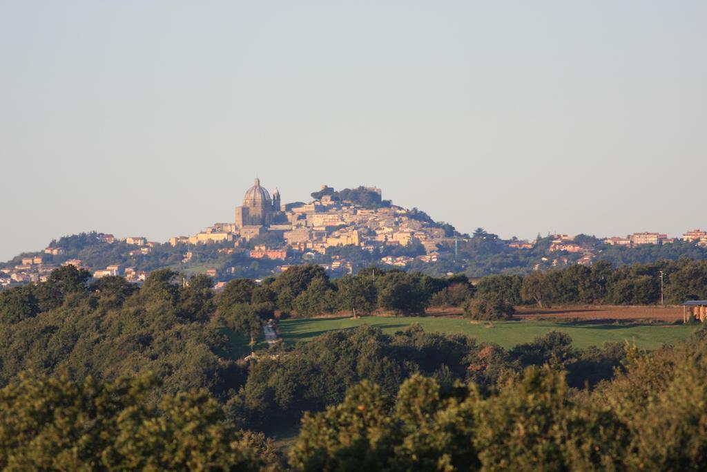 La Torricella 2*