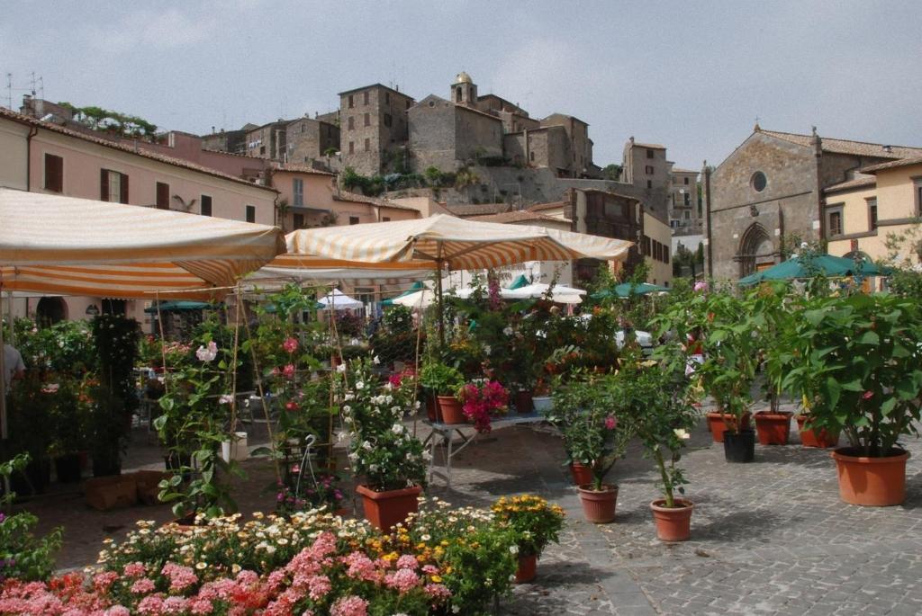 La Torricella Hotel Capalbio